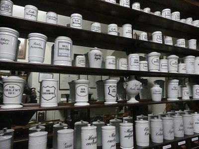 Thực Tập Sinh Hành Chính Y Tế - Công ty TNHH Tư Vấn Dịch Vụ Chồi Xanh